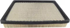 Baldwin Filters PA2189 Panel Air Element