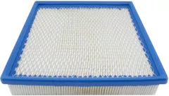 Baldwin Filters PA2221 Panel Air Element