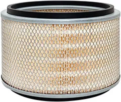 Baldwin Filters PA2596 Air Element