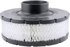 Baldwin Filters PA2817 Air Element