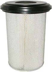 Baldwin Filters PA2847 Air Element with Lid