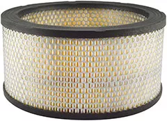 Baldwin Filters PA30013 Air Element