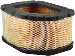 Baldwin Filters PA30030 Air Element