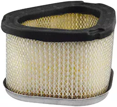 Baldwin Filters PA30031 Air Element