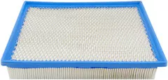 Baldwin Filters PA3822 Cab Air Element
