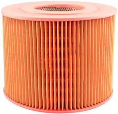 Baldwin Filters PA3863 Air Element