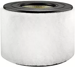 Baldwin Filters PA3890 Air Element with Foam Wrap
