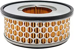Baldwin Filters PA3959 Air Element