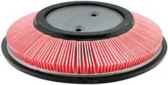 Baldwin Filters PA4070 Air Element