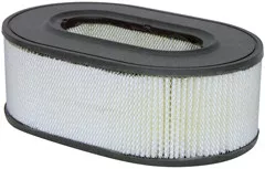 Baldwin Filters PA4093 Oval Air Element