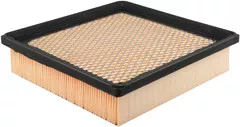 Baldwin Filters PA4099 Panel Air Element