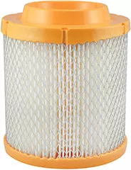 Baldwin Filters PA4118 Air Element