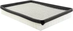 Baldwin Filters PA4146 Panel Air Element