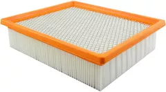 Baldwin Filters PA4160 Panel Air Element