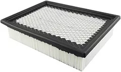 Baldwin Filters PA4163 Panel Air Element