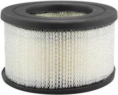 Baldwin Filters PA4166 Air Element