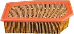 Baldwin Filters PA4171 Panel Air Element