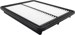 Baldwin Filters PA4341 Panel Air Element