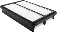 Baldwin Filters PA4348 Panel Air Element