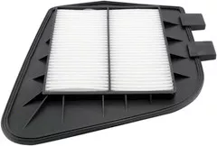 Baldwin Filters PA4358 Panel Air Element