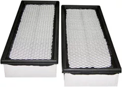 Baldwin Filters PA4440 KIT Set of 2 Panel Air Elements