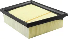 Baldwin Filters PA4455 Panel Air Element