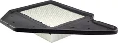 Baldwin Filters PA4456 Panel Air Element