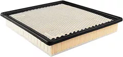 Baldwin Filters PA4487 Panel Air Ele. w/Foam Pad