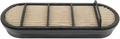 Baldwin Filters PA4704 Channel Flow Air Safety Element