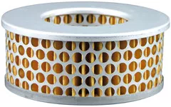 Baldwin Filters PA4824 Air Element