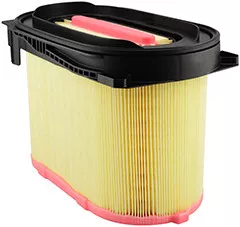 Baldwin Filters PA5289 Oval Air Element with Lid