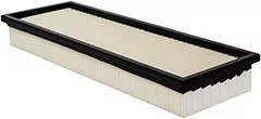 Baldwin Filters PA5399 Cab Air Element