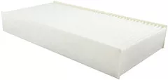 Baldwin Filters PA5580 Cab Air Element