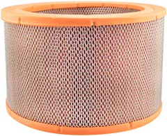 Baldwin Filters PA5665 Air Element