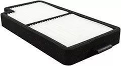 Baldwin Filters PA5683 Cab Air Element w/Pull Tab