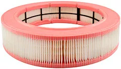 Baldwin Filters PA5689 Cab Air Element