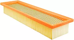 Baldwin Filters PA5695 Cab Air Element