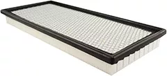 Baldwin Filters PA5697 Cab Air Element