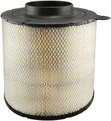 Baldwin Filters PA5762 Air Element