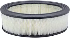 Baldwin Filters PA613 Oval Air Element