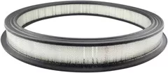 Baldwin Filters PA631 Air Element