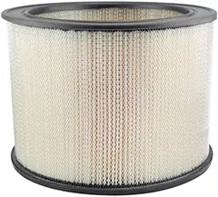Baldwin Filters PA638 Air Element