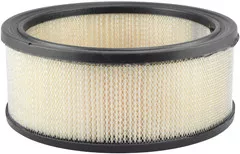 Baldwin Filters PA657 Air Element