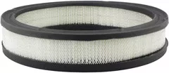 Baldwin Filters PA658 Air Element
