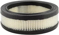 Baldwin Filters PA678 Air Element