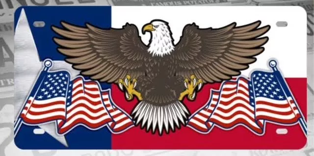 CHAPA (PLACA) DE LUJO AGUILA BANDERA EEUU