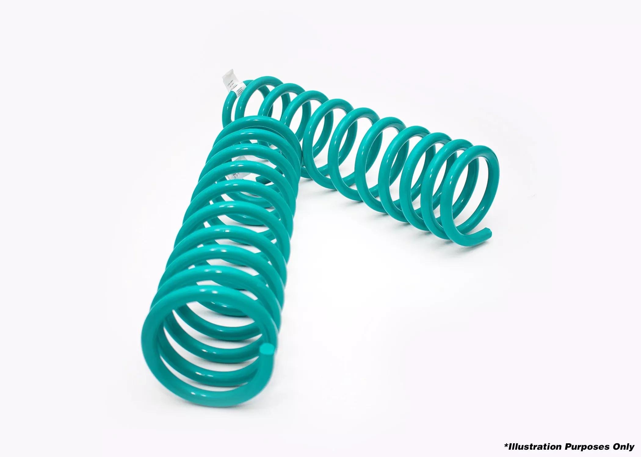 DOBINSONS | COIL SPRINGS PAIR | C19-342