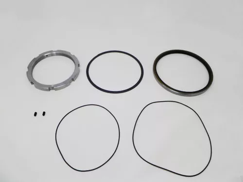 E06SKW100 Dana Spicer Off-Highway Seal Kit (E06)