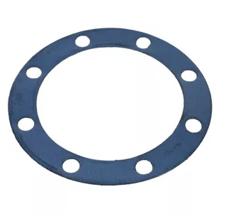 GKT1006 Felpro Hub Cap Gasket