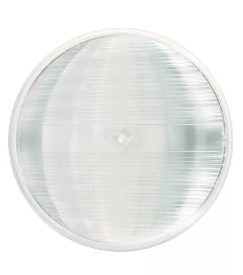 Grote Back-Up Light, 4", Single LED, Female Pin | 62691
